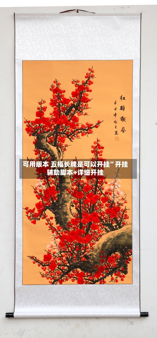 可用版本 五福长牌是可以开挂”开挂辅助脚本+详细开挂-第2张图片