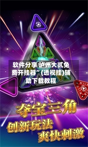 软件分享 泸州大贰免费开挂器”(透视挂)辅助下载教程-第2张图片