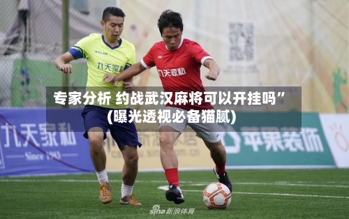 专家分析 约战武汉麻将可以开挂吗	”(曝光透视必备猫腻)-第3张图片