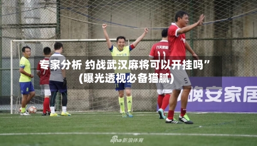 专家分析 约战武汉麻将可以开挂吗”(曝光透视必备猫腻)-第2张图片