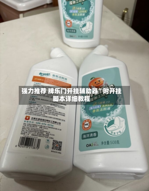 强力推荐 牌乐门开挂辅助器”附开挂脚本详细教程-第2张图片