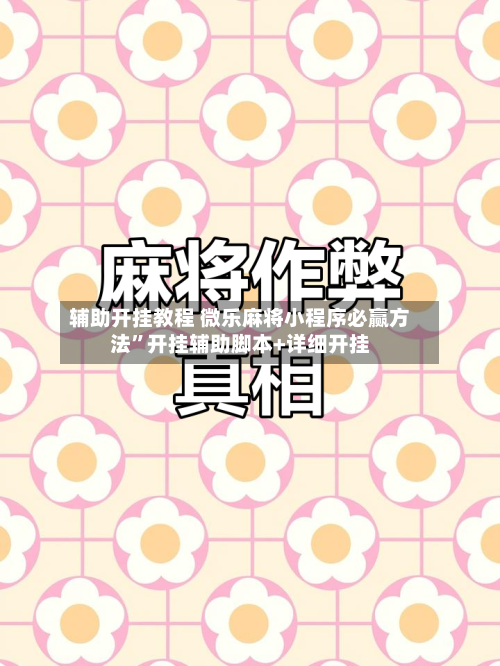 辅助开挂教程 微乐麻将小程序必赢方法	”开挂辅助脚本+详细开挂-第3张图片