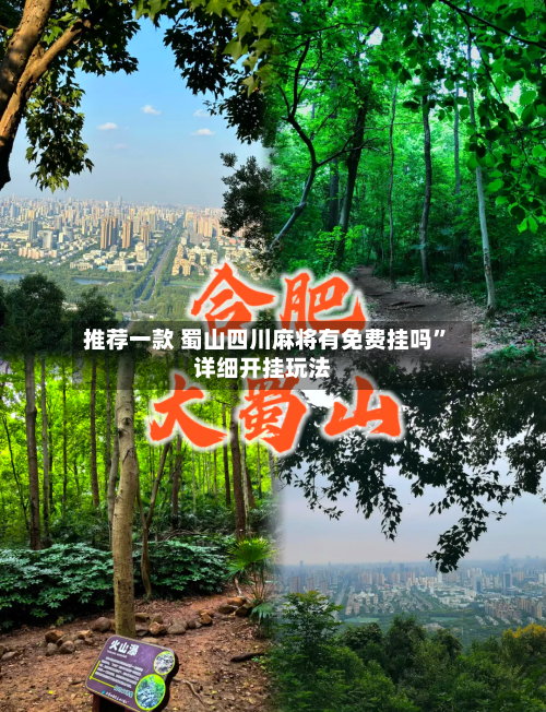 推荐一款 蜀山四川麻将有免费挂吗”详细开挂玩法-第3张图片
