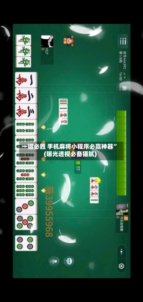 一键必胜 手机麻将小程序必赢神器”(曝光透视必备猫腻)-第2张图片
