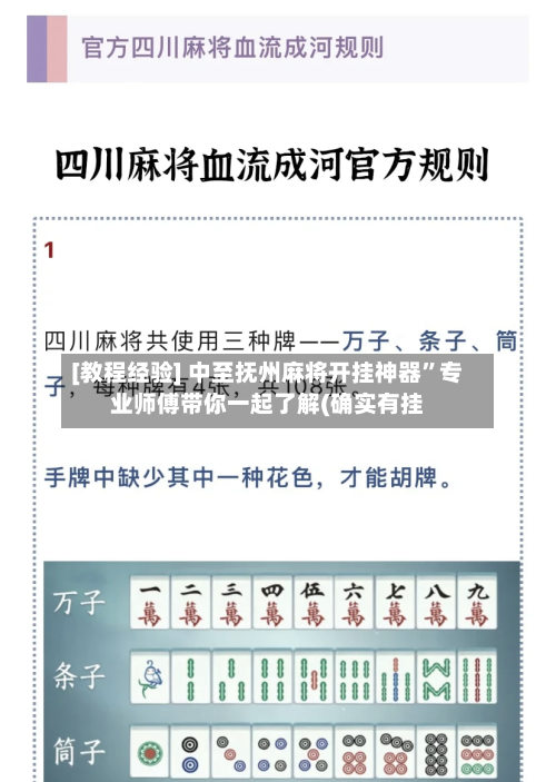 [教程经验] 中至抚州麻将开挂神器	”专业师傅带你一起了解(确实有挂-第2张图片