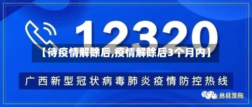 【待疫情解除后,疫情解除后3个月内】