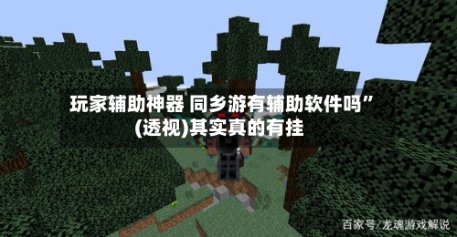 玩家辅助神器 同乡游有辅助软件吗”(透视)其实真的有挂-第2张图片