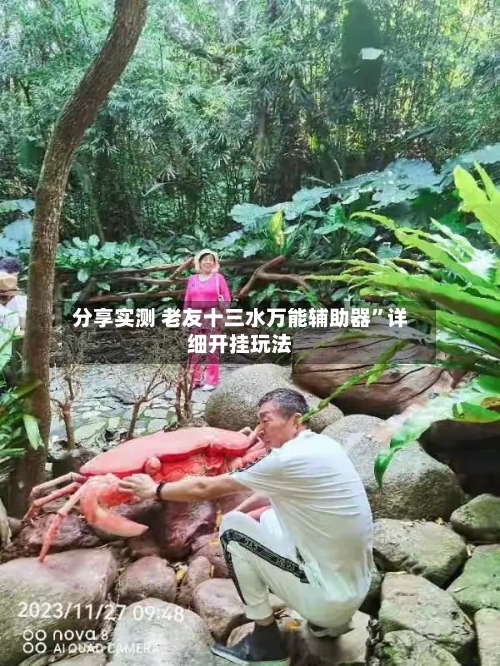 分享实测 老友十三水万能辅助器”详细开挂玩法-第3张图片