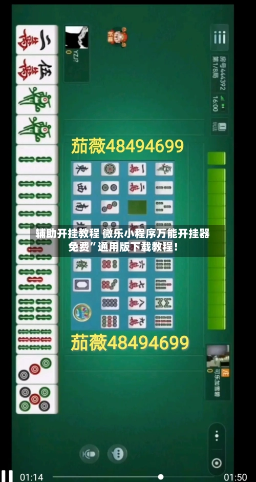 辅助开挂教程 微乐小程序万能开挂器免费”通用版下载教程！-第3张图片