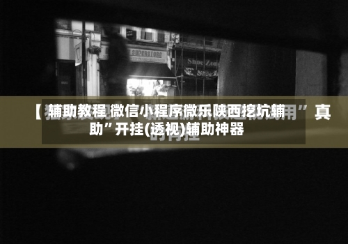 辅助教程 微信小程序微乐陕西挖坑辅助”开挂(透视)辅助神器-第2张图片