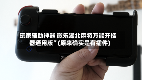 玩家辅助神器 微乐湖北麻将万能开挂器通用版”(原来确实是有插件)-第3张图片