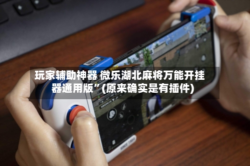 玩家辅助神器 微乐湖北麻将万能开挂器通用版”(原来确实是有插件)-第2张图片