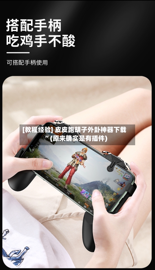 [教程经验] 皮皮跑胡子外卦神器下载”(原来确实是有插件)-第2张图片