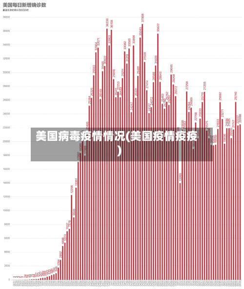 美国病毒疫情情况(美国疫情疫疫)