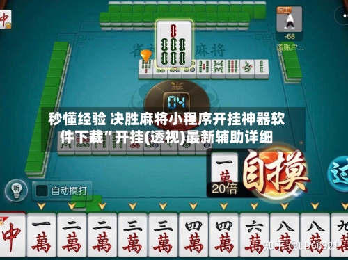秒懂经验 决胜麻将小程序开挂神器软件下载	”开挂(透视)最新辅助详细-第2张图片
