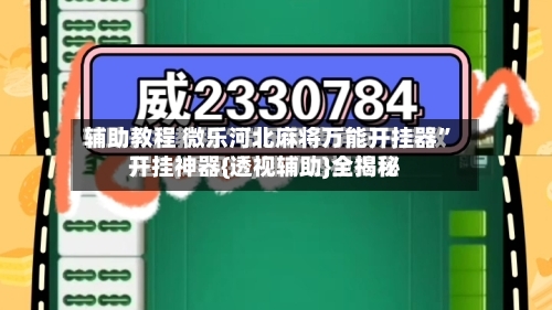 辅助教程 微乐河北麻将万能开挂器”开挂神器{透视辅助}全揭秘-第2张图片