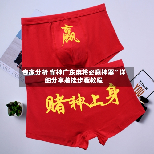 专家分析 雀神广东麻将必赢神器”详细分享装挂步骤教程-第3张图片