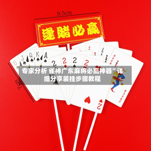 专家分析 雀神广东麻将必赢神器	”详细分享装挂步骤教程-第2张图片