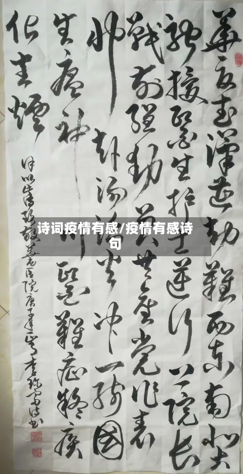 诗词疫情有感/疫情有感诗句-第2张图片