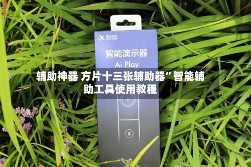 辅助神器 方片十三张辅助器”智能辅助工具使用教程-第2张图片