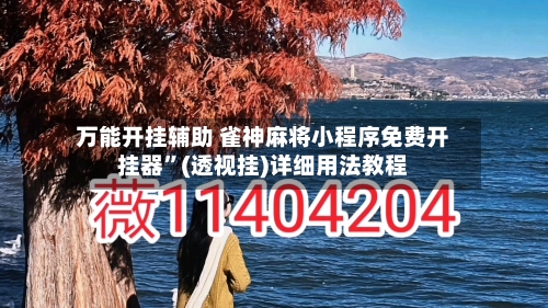 万能开挂辅助 雀神麻将小程序免费开挂器”(透视挂)详细用法教程-第3张图片