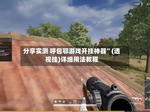分享实测 呼包鄂游戏开挂神器	”(透视挂)详细用法教程-第2张图片