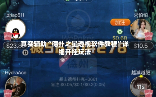 真实辅助“德扑之星透视软件教程”详细开挂玩法-第3张图片