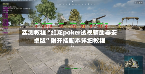 实测教程“红龙poker透视辅助器安卓版”附开挂脚本详细教程-第2张图片