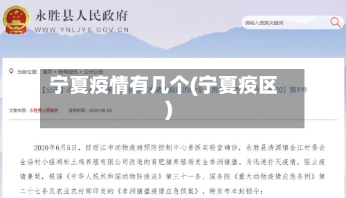 宁夏疫情有几个(宁夏疫区)