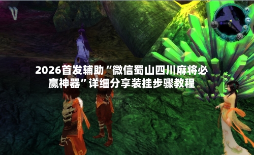 2026首发辅助“微信蜀山四川麻将必赢神器”详细分享装挂步骤教程-第3张图片
