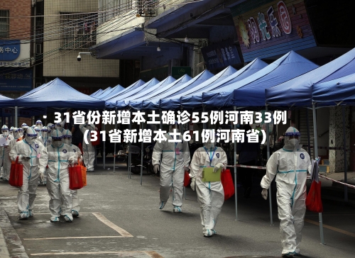 31省份新增本土确诊55例河南33例(31省新增本土61例河南省)