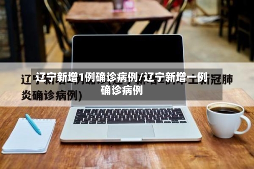 辽宁新增1例确诊病例/辽宁新增一例确诊病例