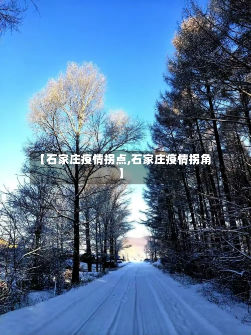 【石家庄疫情拐点,石家庄疫情拐角】-第3张图片