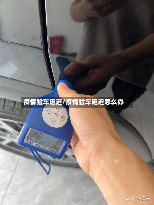 疫情验车延迟/疫情验车延迟怎么办-第2张图片