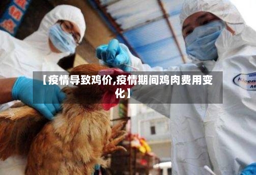 【疫情导致鸡价,疫情期间鸡肉费用变化】