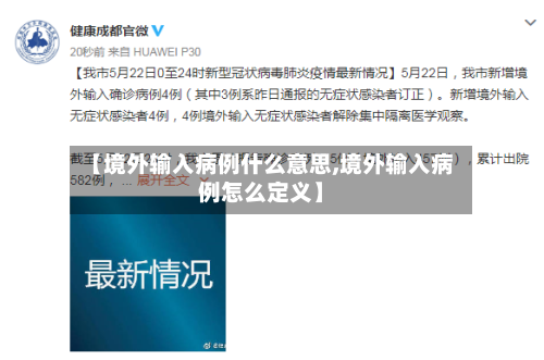 【境外输入病例什么意思,境外输入病例怎么定义】-第2张图片