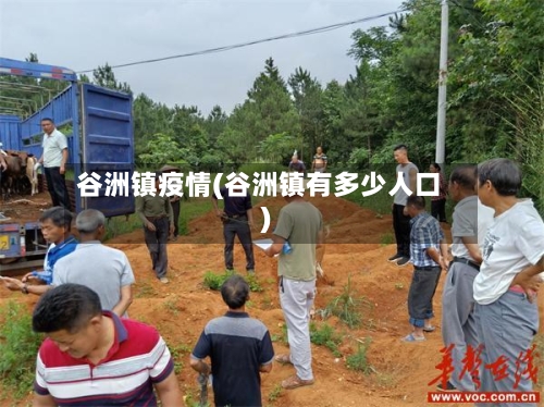 谷洲镇疫情(谷洲镇有多少人口)-第3张图片