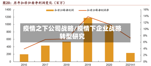 疫情之下公司战略/疫情下企业战略转型研究