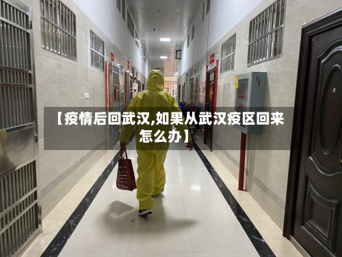 【疫情后回武汉,如果从武汉疫区回来怎么办】-第3张图片