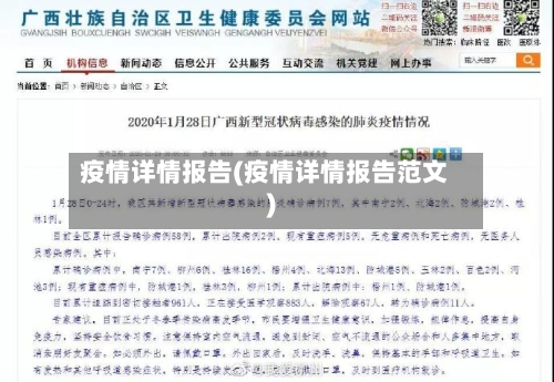 疫情详情报告(疫情详情报告范文)