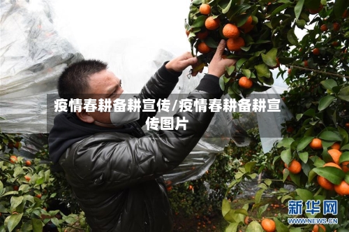 疫情春耕备耕宣传/疫情春耕备耕宣传图片-第3张图片