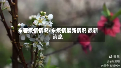 东菪疫情情况/东疫情最新情况 最新消息