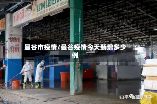 曼谷市疫情/曼谷疫情今天新增多少例-第3张图片