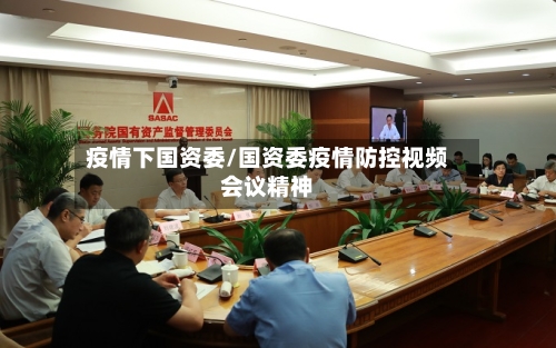 疫情下国资委/国资委疫情防控视频会议精神