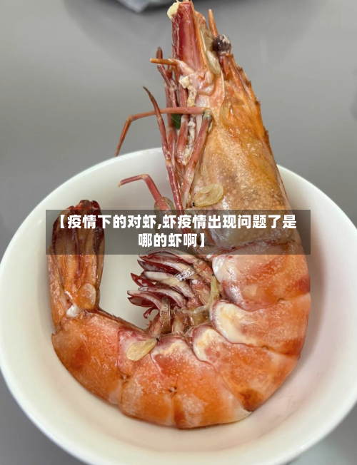 【疫情下的对虾,虾疫情出现问题了是哪的虾啊】-第2张图片