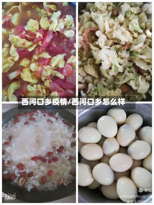 西河口乡疫情/西河口乡怎么样