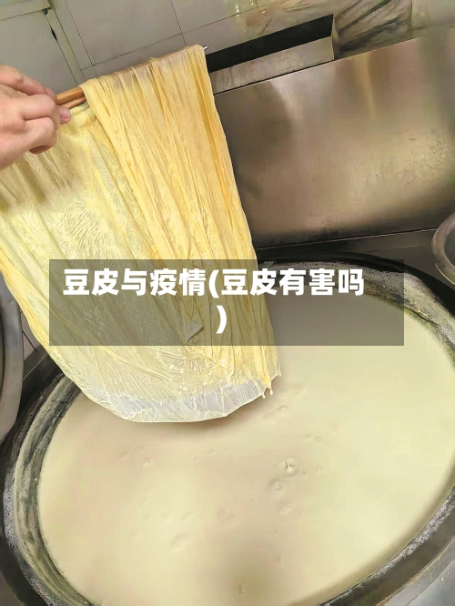 豆皮与疫情(豆皮有害吗)