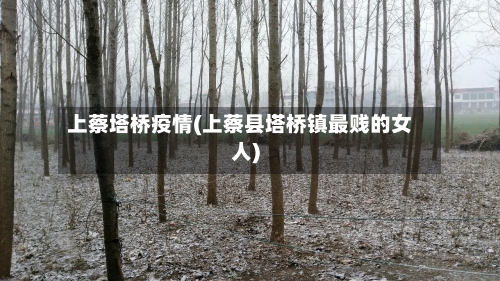 上蔡塔桥疫情(上蔡县塔桥镇最贱的女人)