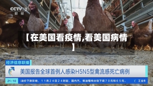 【在美国看疫情,看美国病情】-第2张图片