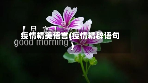 疫情精美语言(疫情精辟语句)